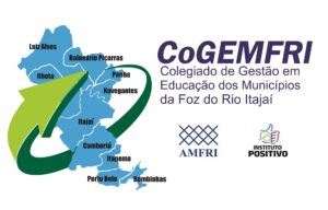 Read more about the article CoGemfri promove Oficina de Captação de Recursos para a Educação