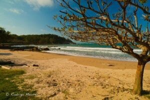 Read more about the article Caminhada Rota dos Navegantes irá percorrer 12km da Costa Verde & Mar