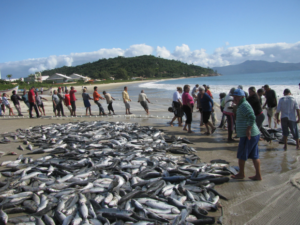 Read more about the article Comunicado Importante: Reunião com Secretário Nacional da Pesca é transferida