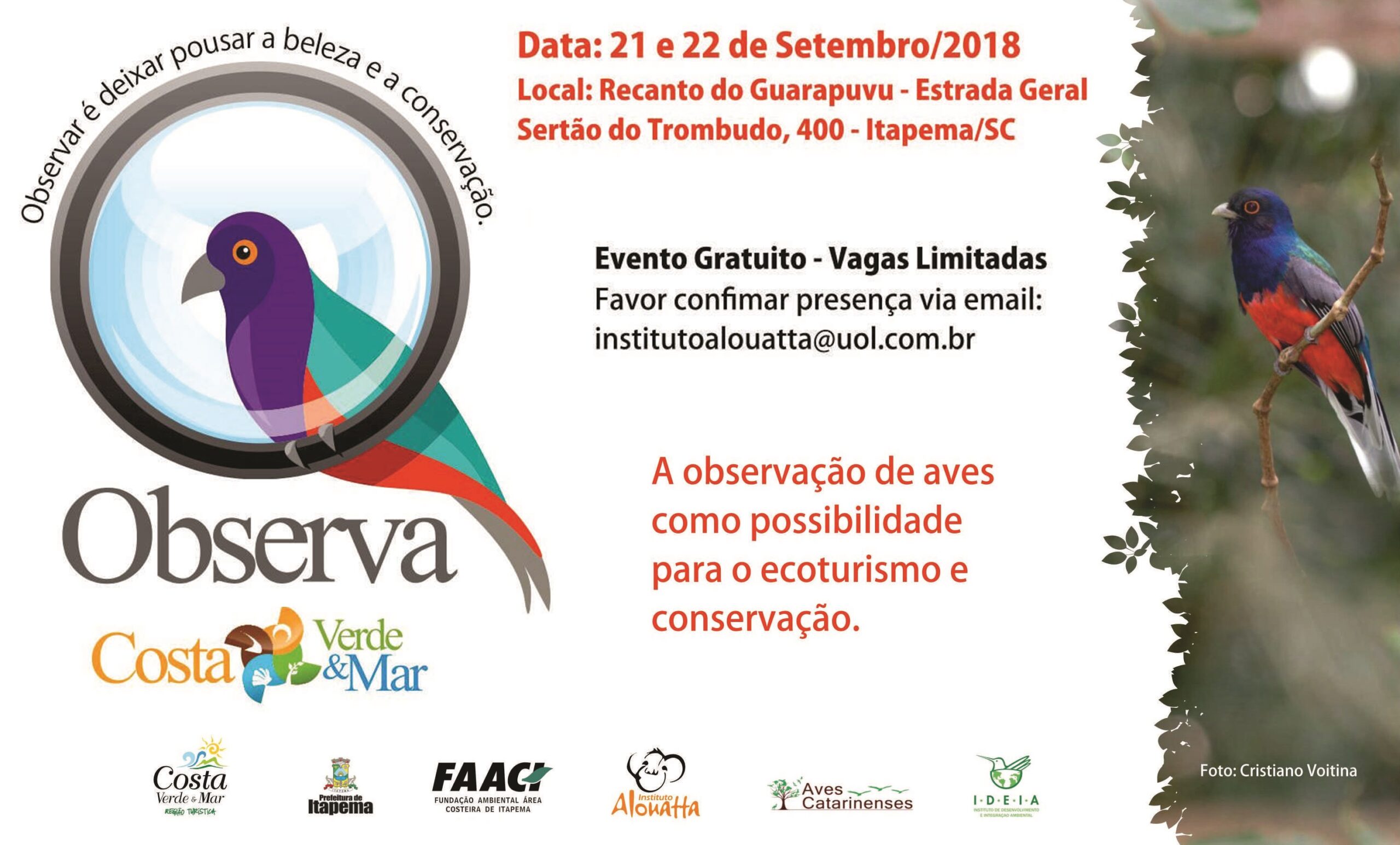 You are currently viewing Evento para observação de aves na Costa Verde & Mar acontece na próxima semana