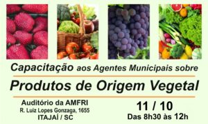 Read more about the article Capacitação sobre normas de Produtos de Origem Vegetal acontece quinta-feira