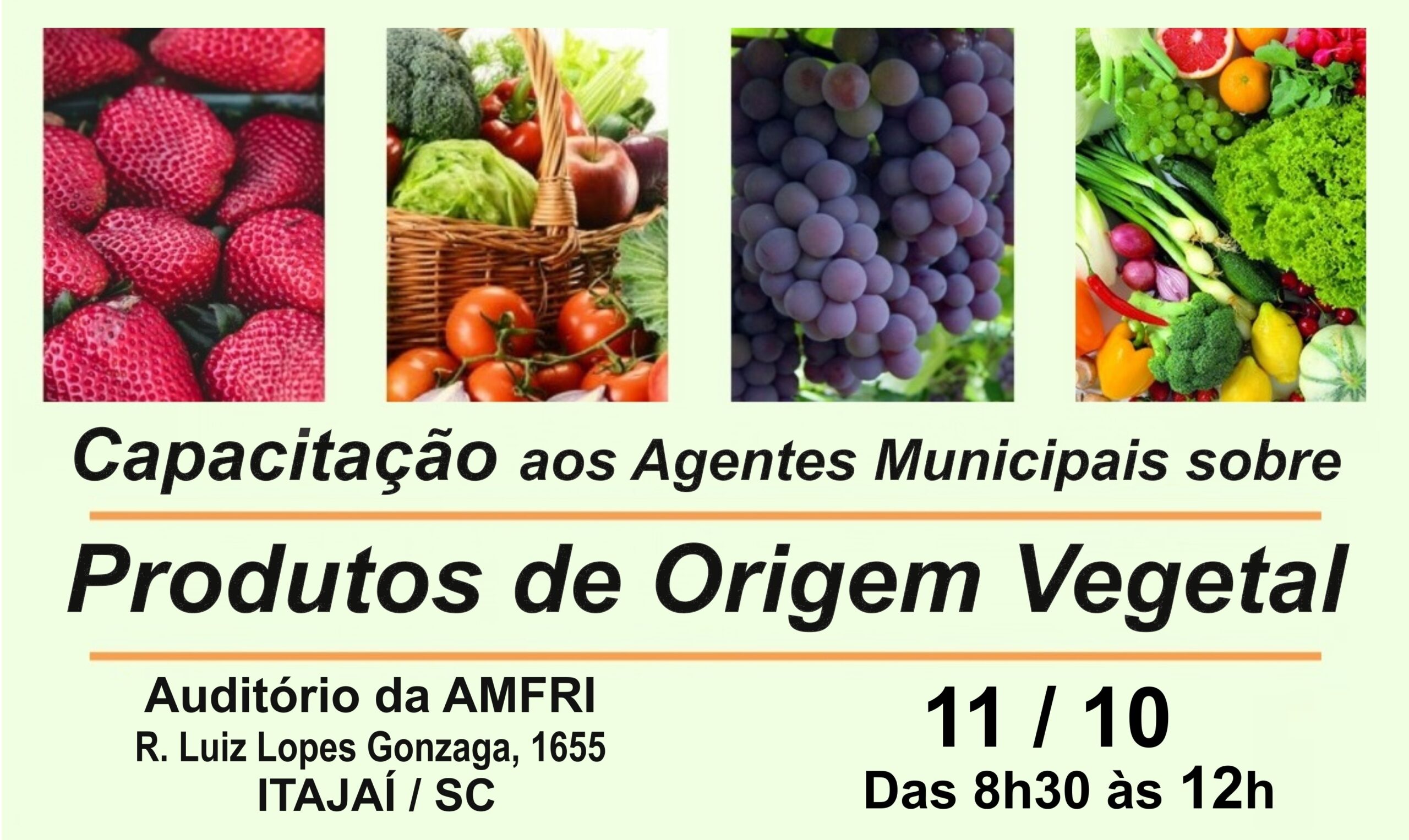 You are currently viewing Capacitação sobre normas de Produtos de Origem Vegetal acontece quinta-feira