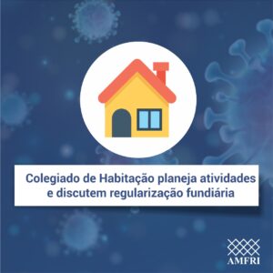 Read more about the article Colegiado de Habitação planeja atividades e discutem regularização fundiária