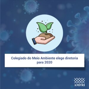 Read more about the article Colegiado do Meio Ambiente elege diretoria para 2020