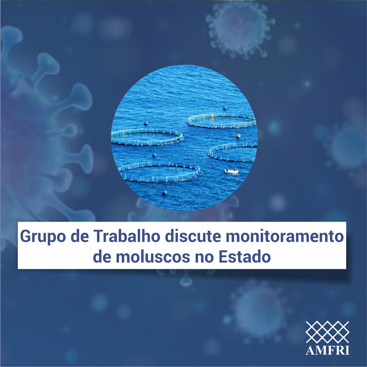 You are currently viewing Grupo de Trabalho discute monitoramento de moluscos no Estado