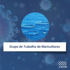 Read more about the article Grupo de Trabalho de Maricultores realiza levantamento dos estragos causados pelo ciclone bomba na maricultura e na pesca