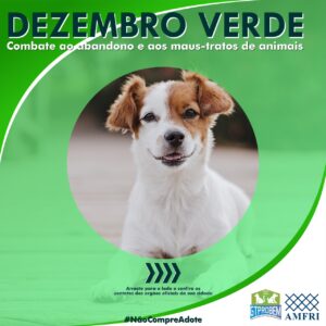 Read more about the article Dezembro Verde