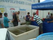 Read more about the article Secretaria de Pesca e Agricultura da Prefeitura de Penha promove 4ª Feira do Peixe Vivo